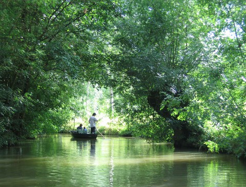 tapety river, nature