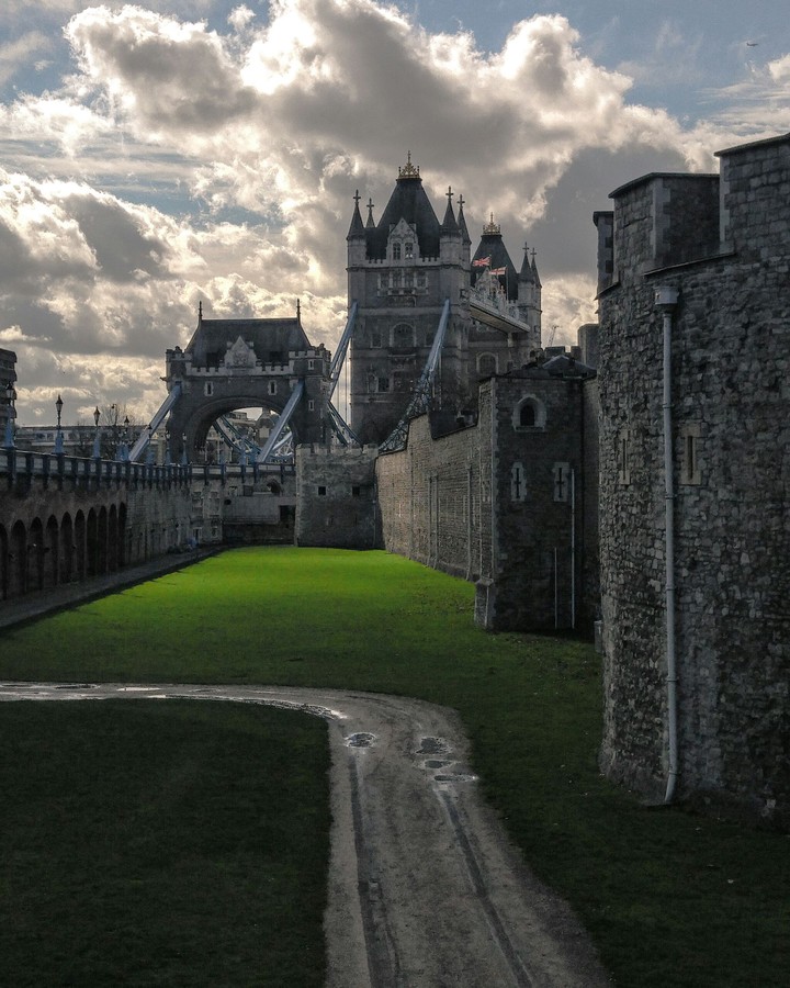 The Tower