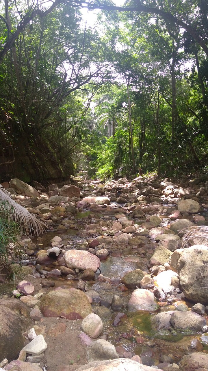Nature