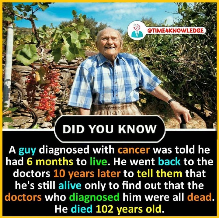 Fact