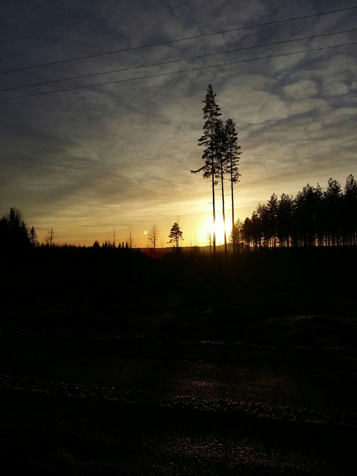 sunset