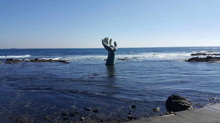 상생의 손