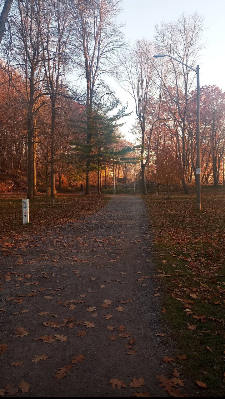 autumn walk