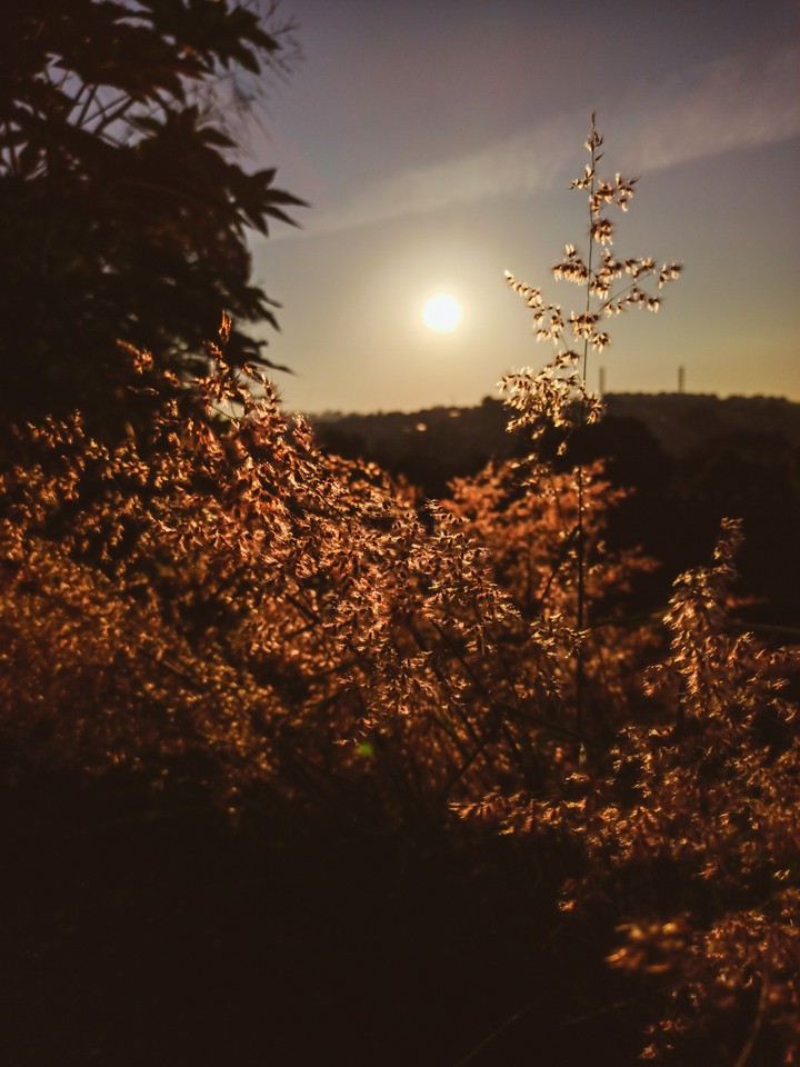 Amanhecer