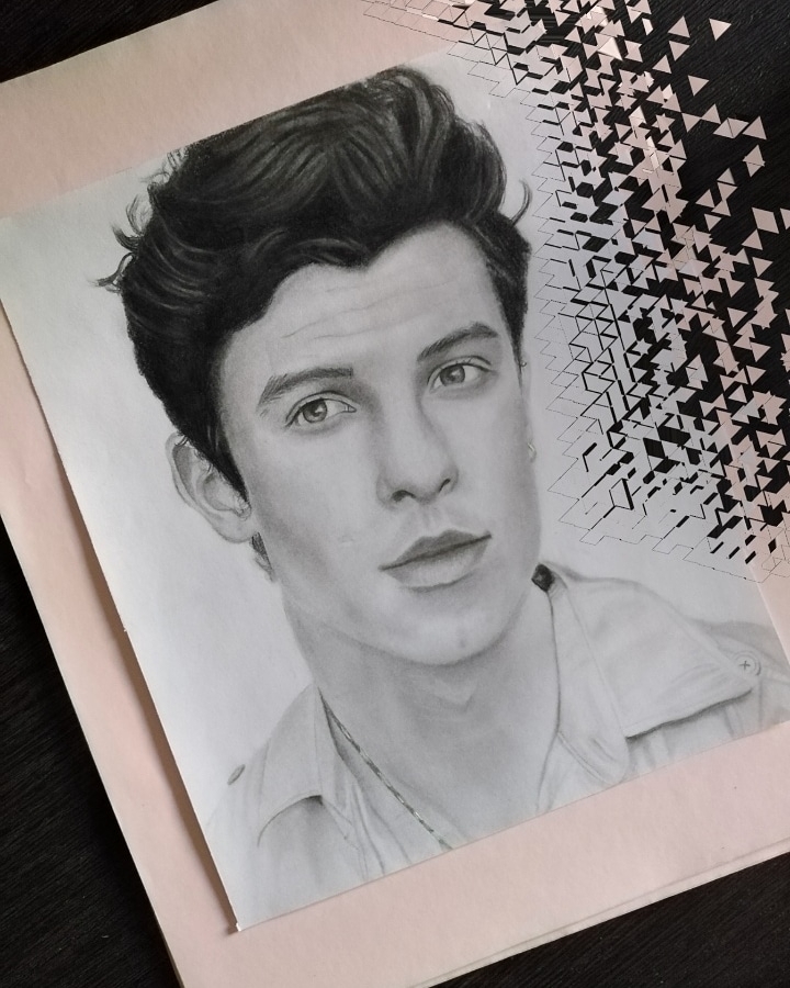 Shawn Mendes drawing