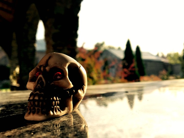 skull