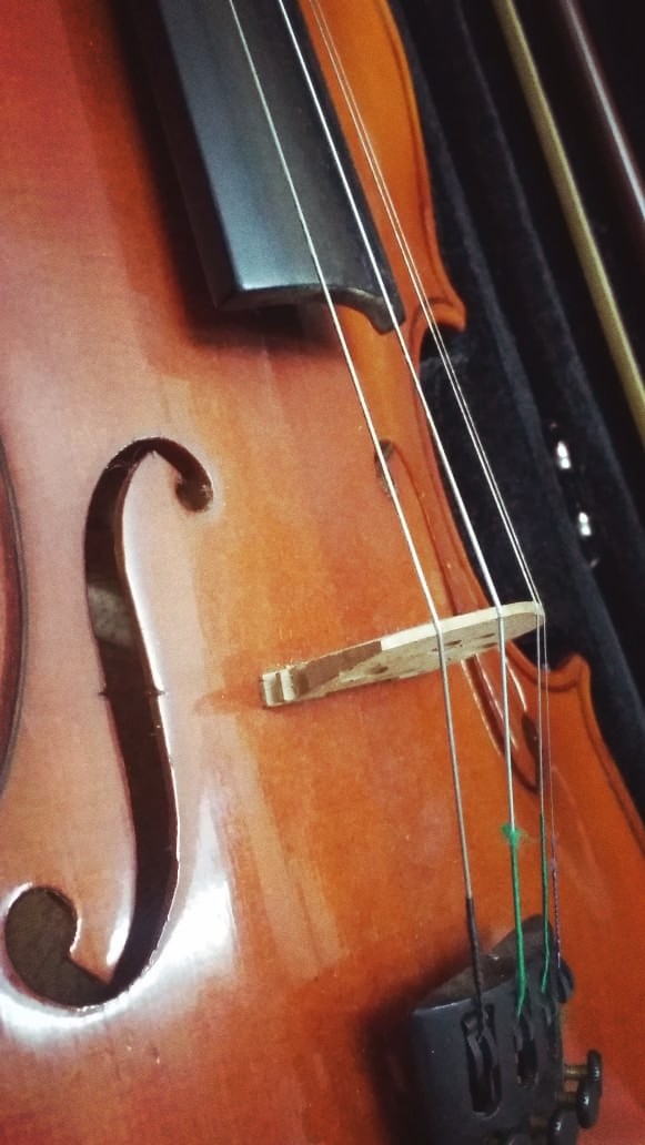violin