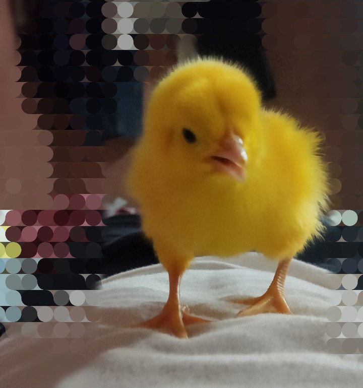 ..