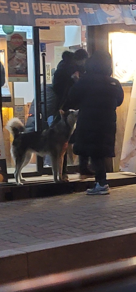 허스키