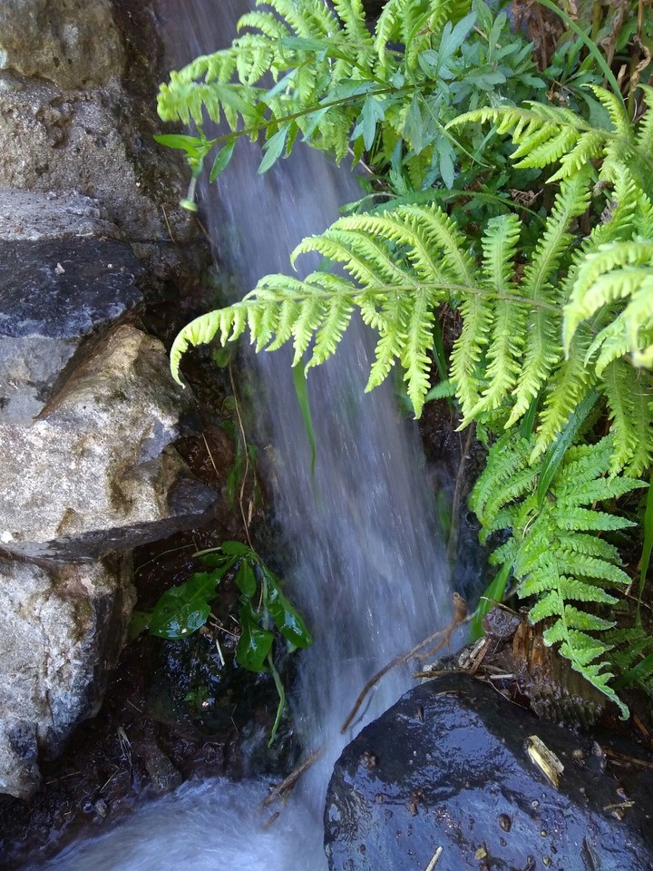 Água caindo na levada