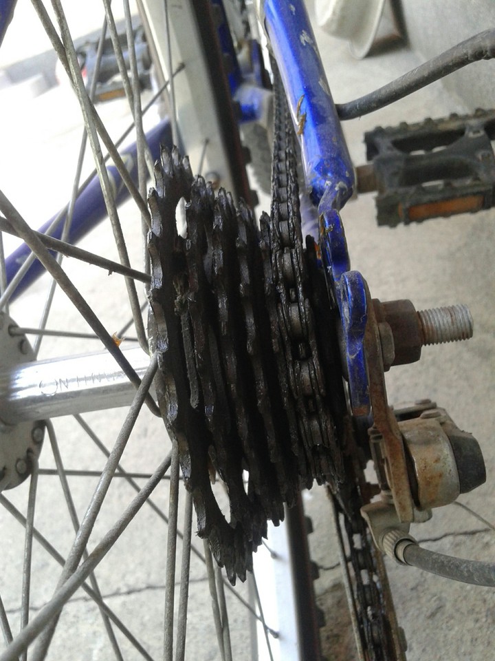 Engine of bike