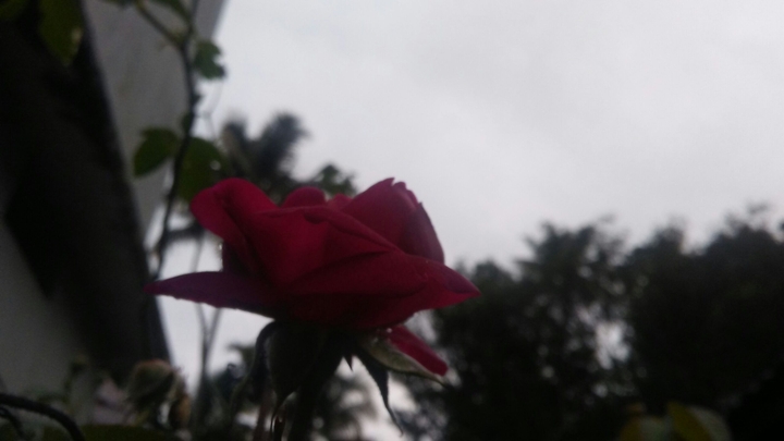 Cloudy day