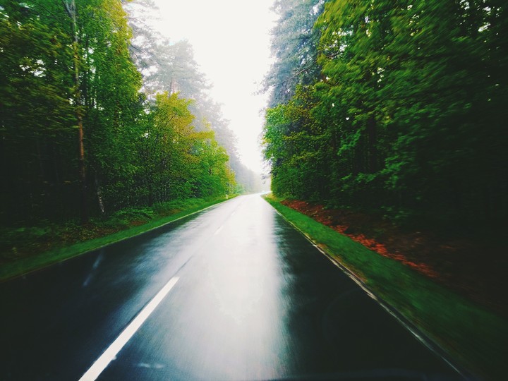 Forest Wilca Wola