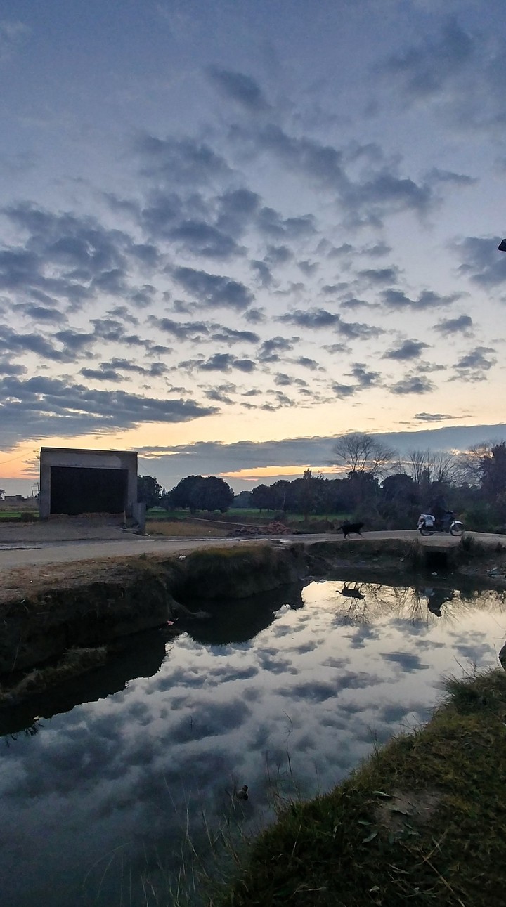 Dawn