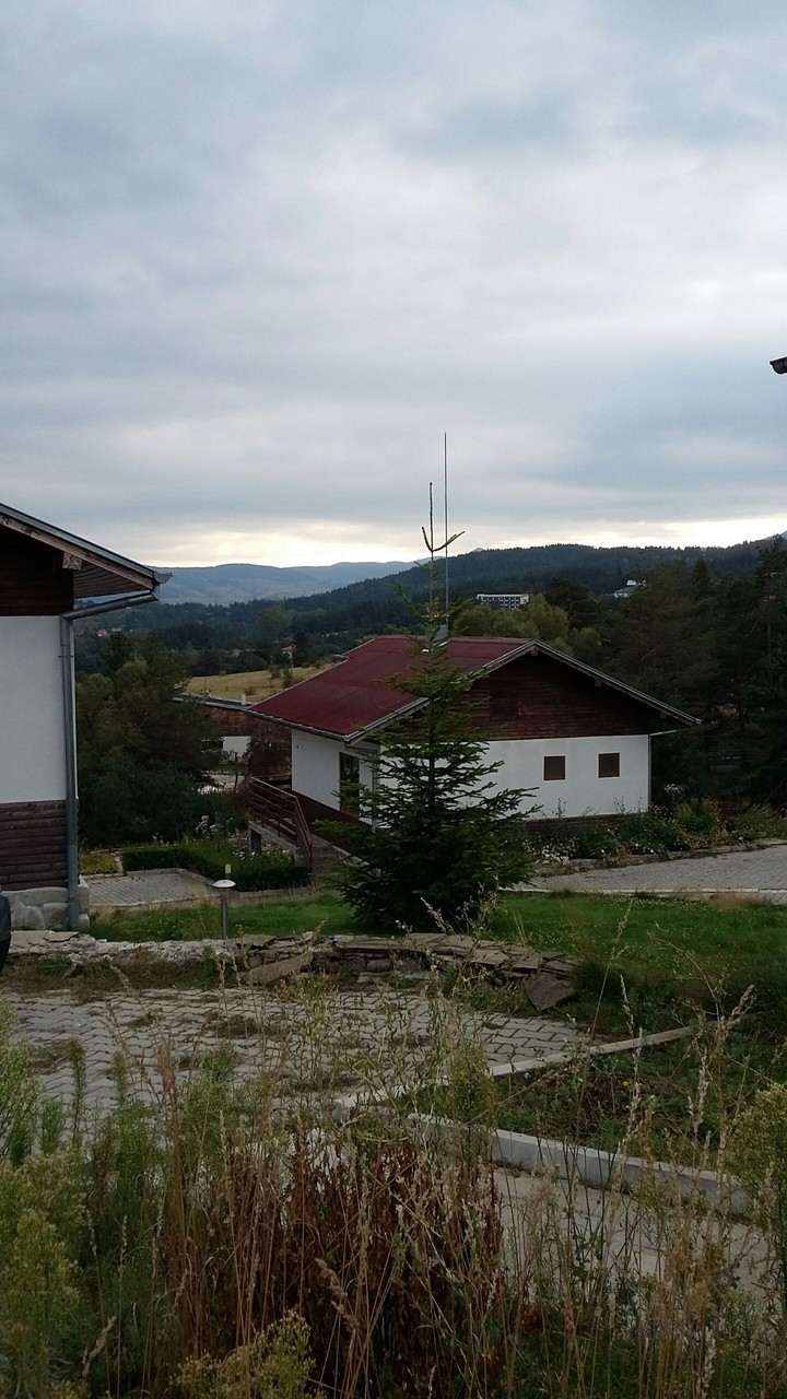 Cigov chark