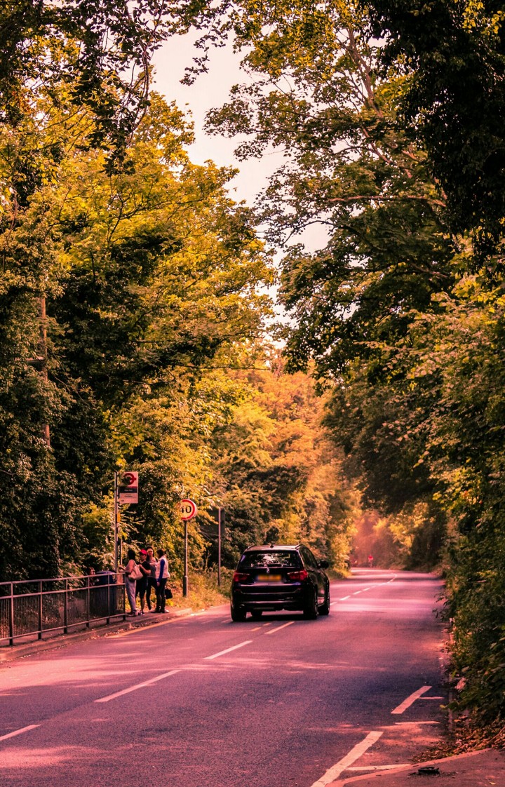 Car and canopy