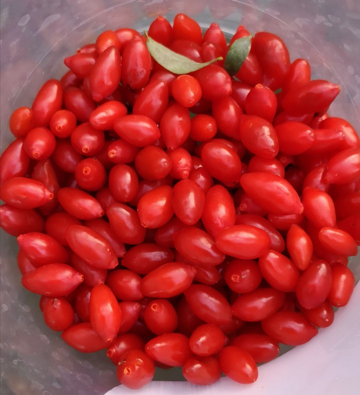 Superfood Gojj