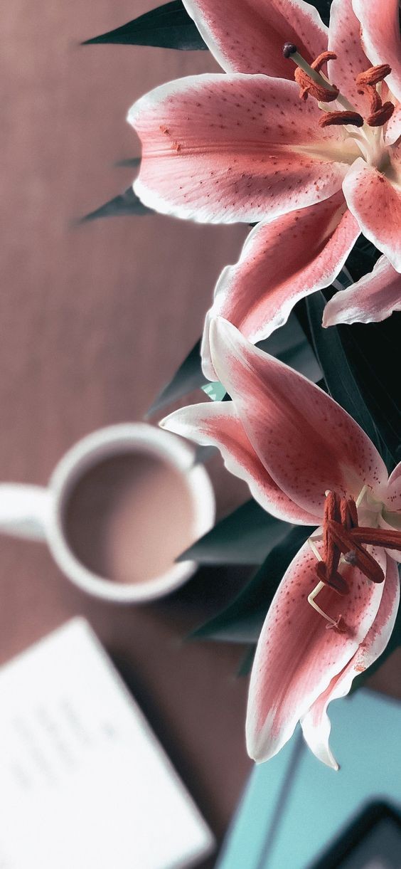 pink flowers
