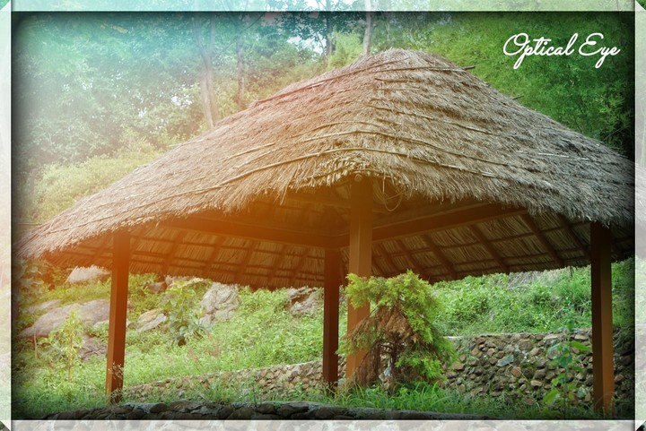 shelter