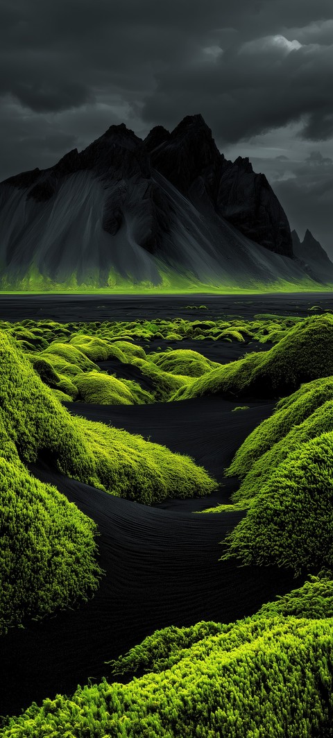 ταπετσαρίες meadow, fell