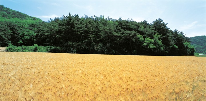 풍경