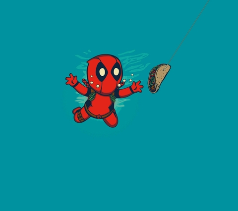 insect, invertebrate वॉलपेपर