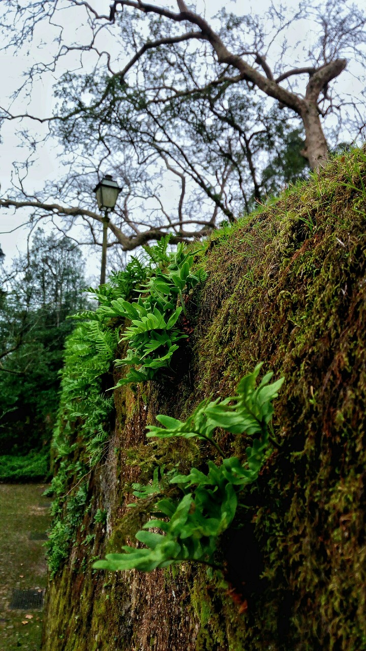 Sintra
