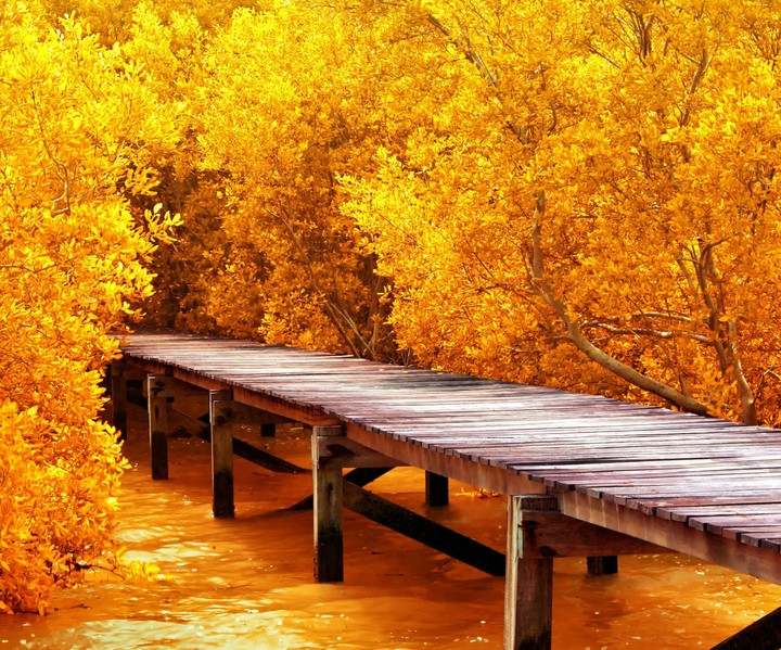 beautiful nature