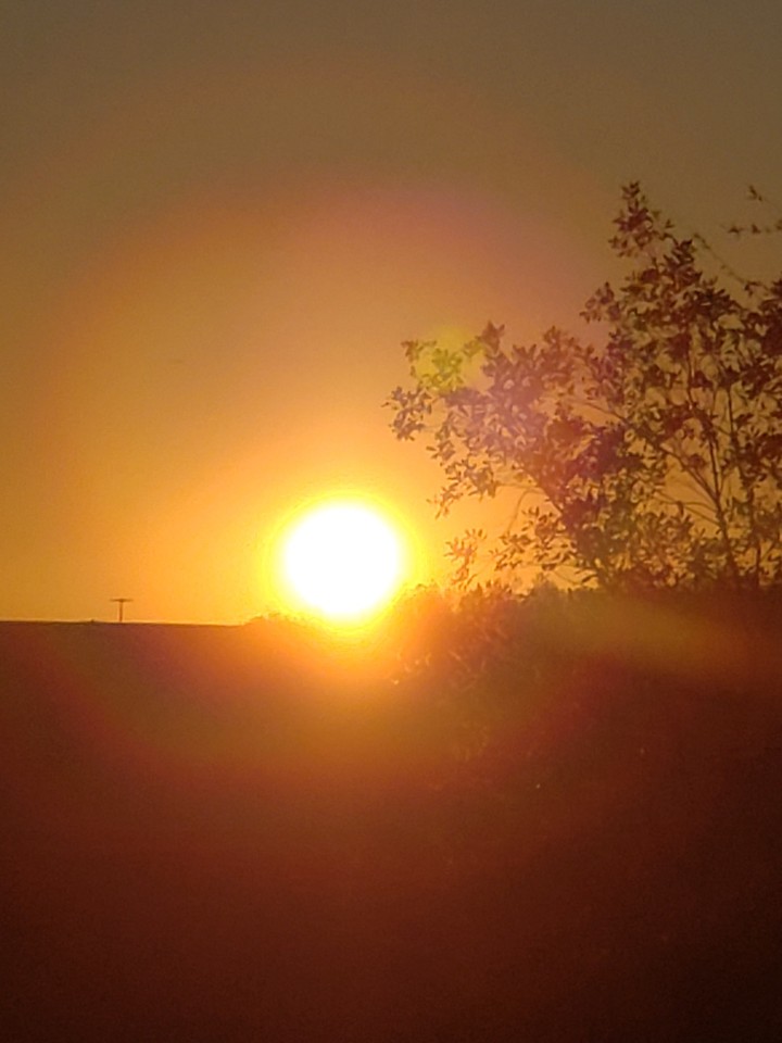 wonderful day