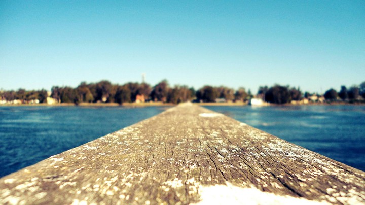 Wooden Paradise