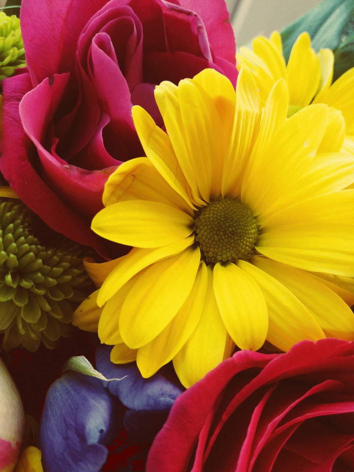 Flower