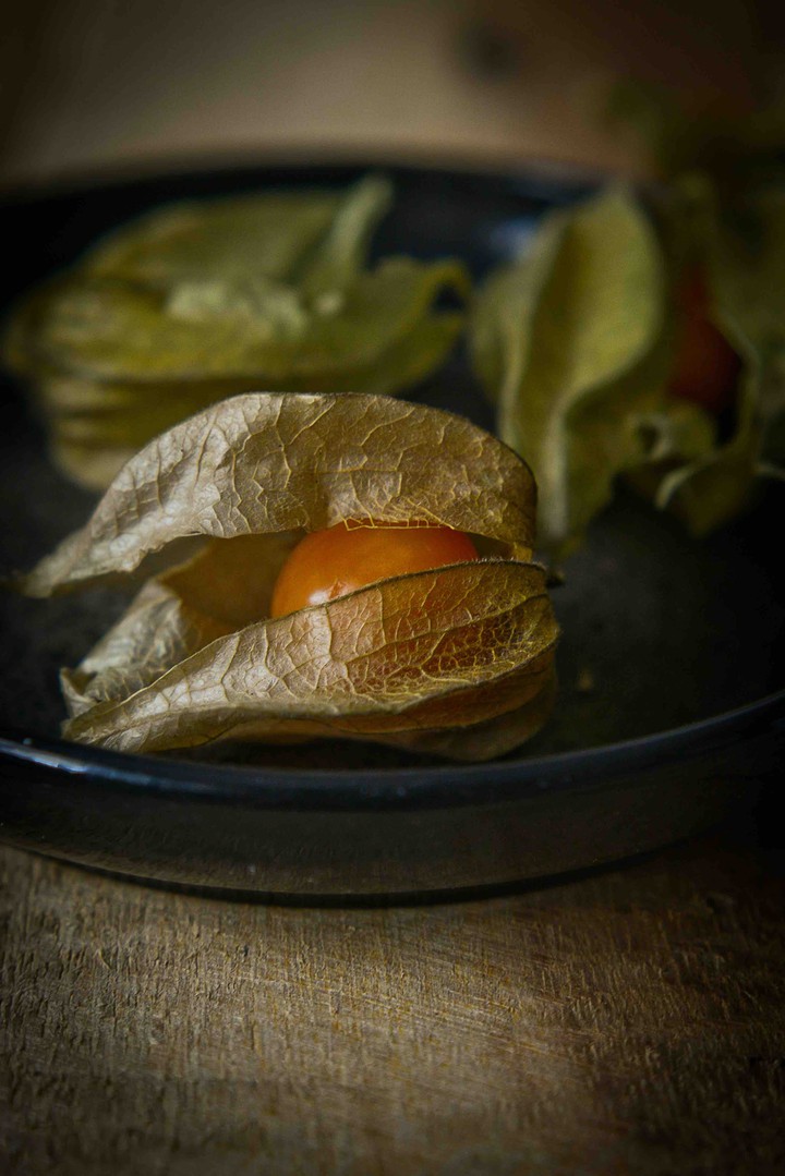 Physalis