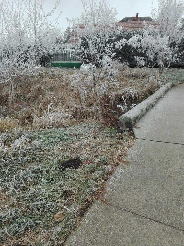Landscape with snow