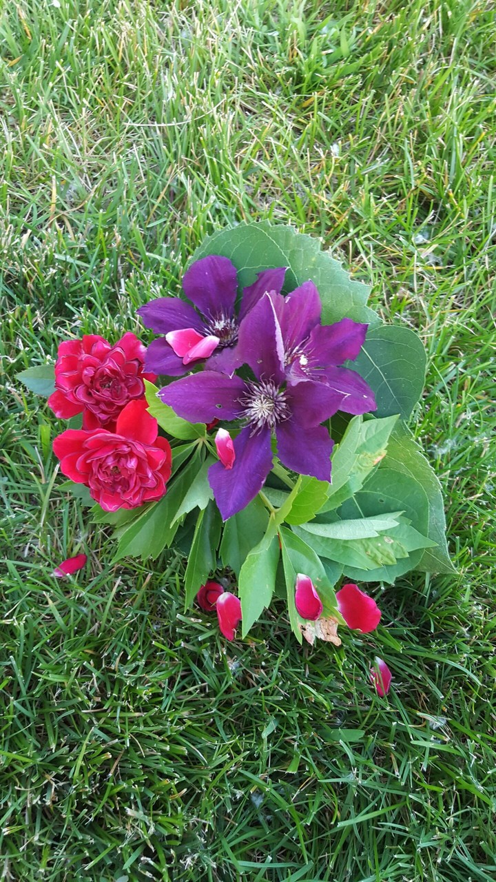 flowers