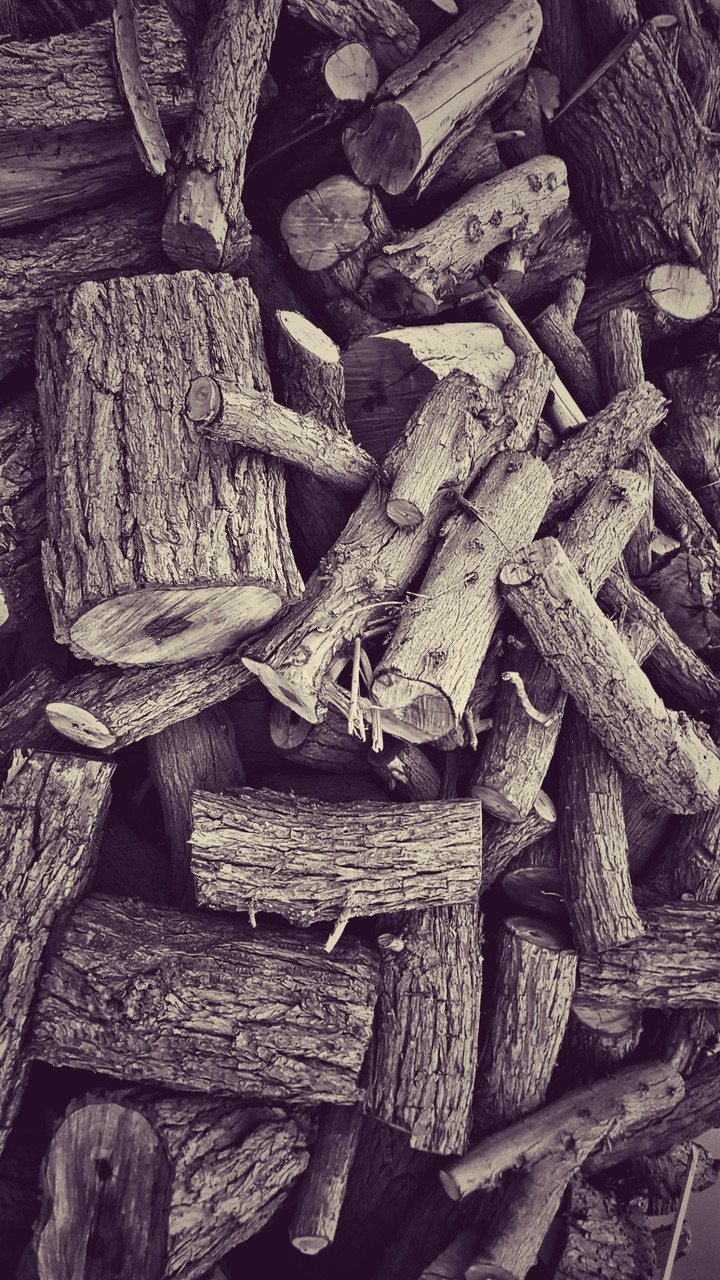 wood