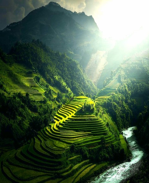 Rice terrace in my homeland