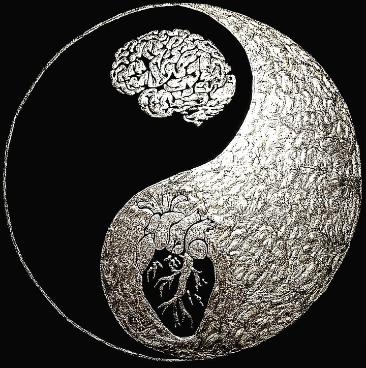 circle of life