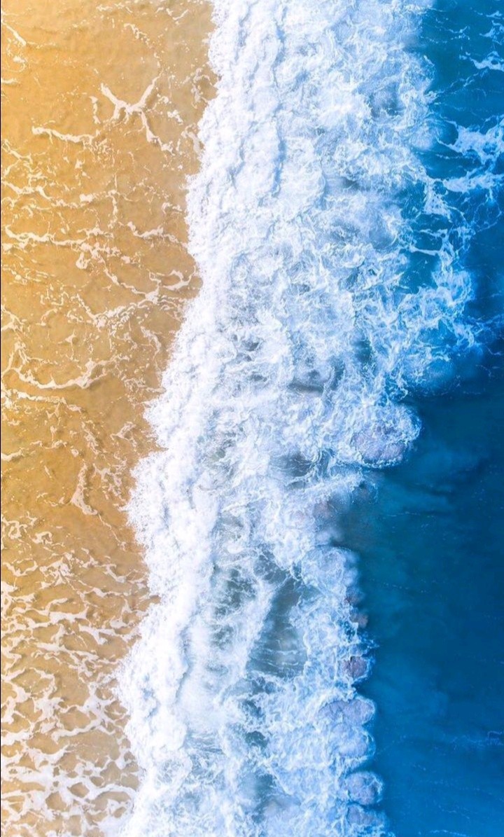 ⁦( ╹▽╹ )⁩