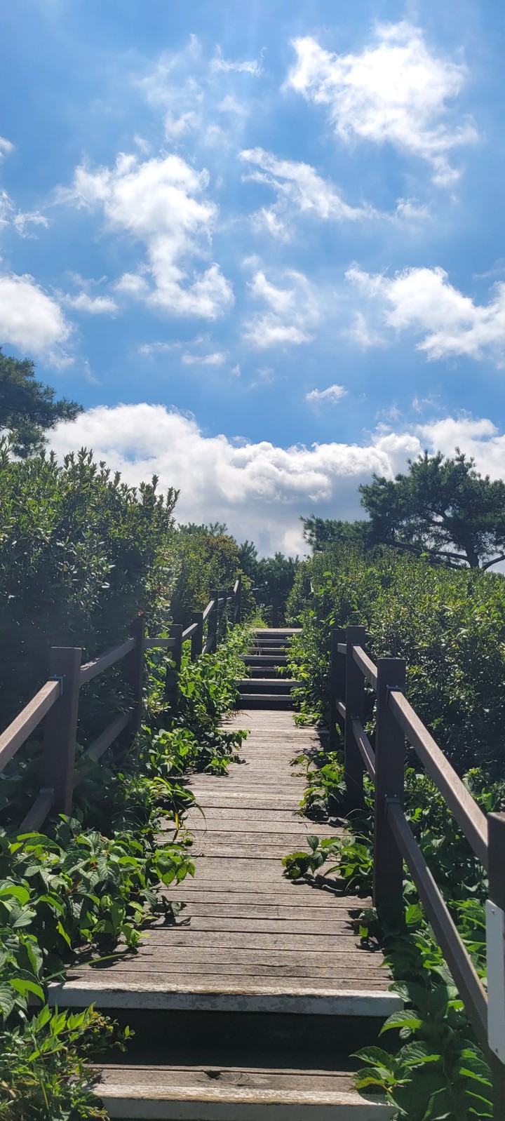 stairs