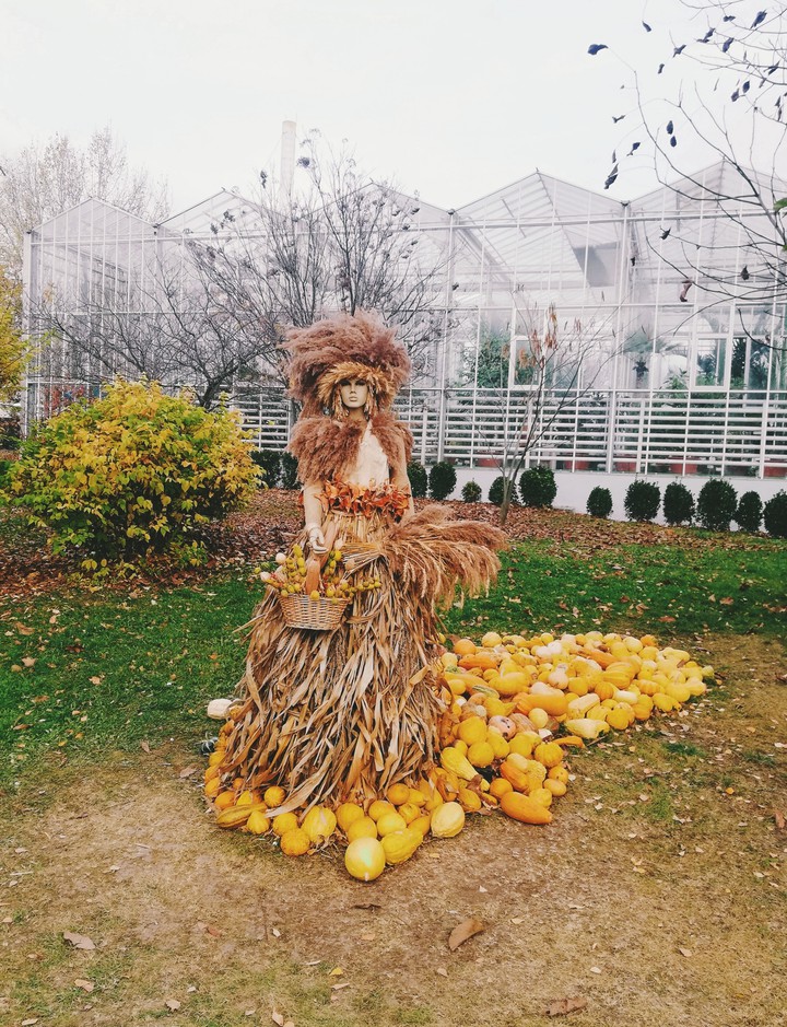 Autumn Queen