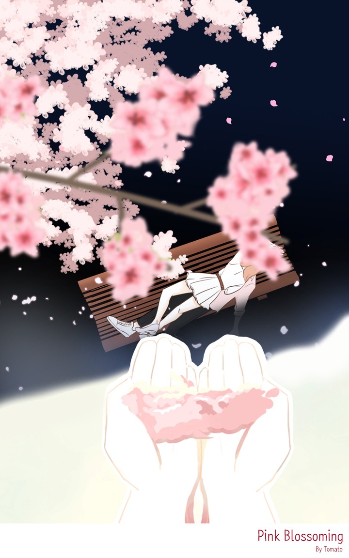 Pink Blossoming
