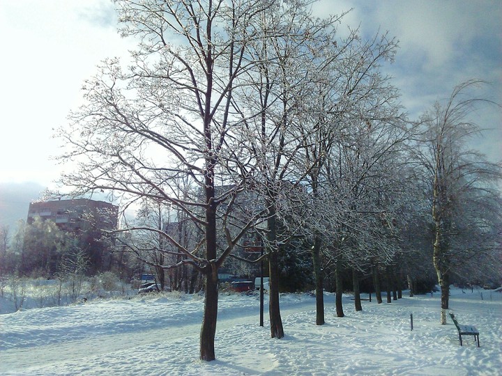 winter