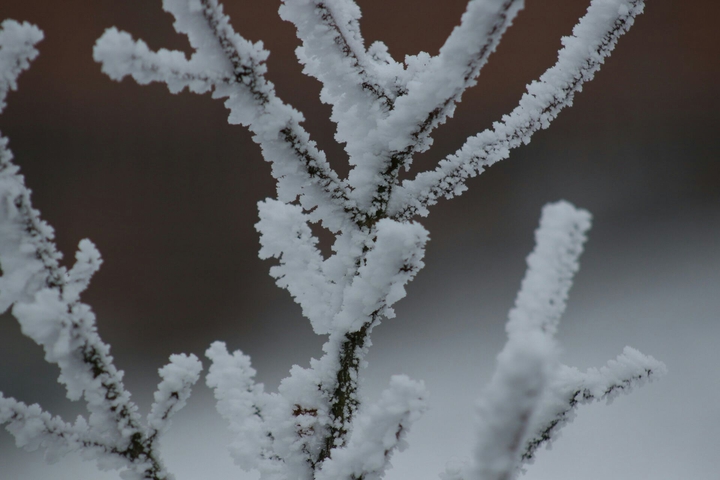 l'hiver