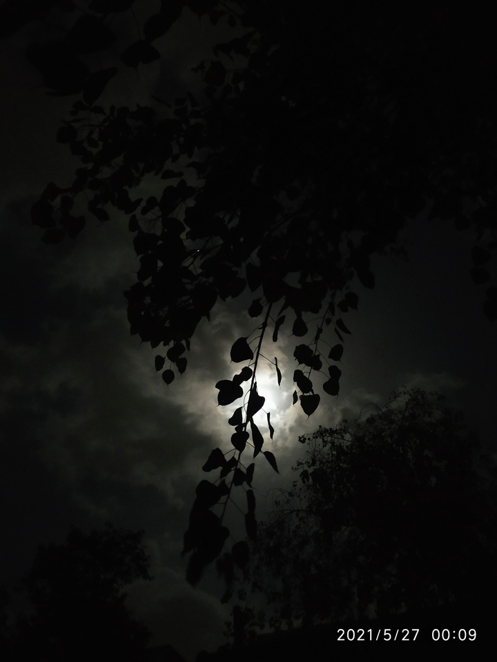 Moon light