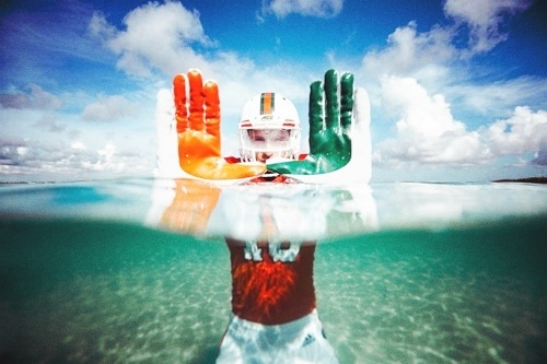 The U