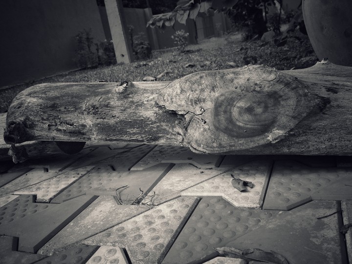 log