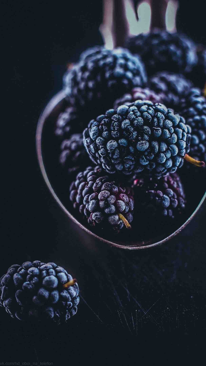 фон