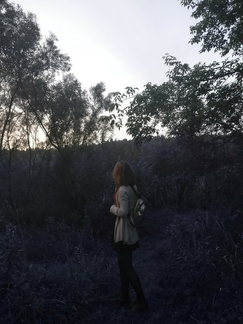 Даль