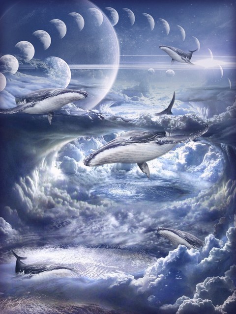 dream