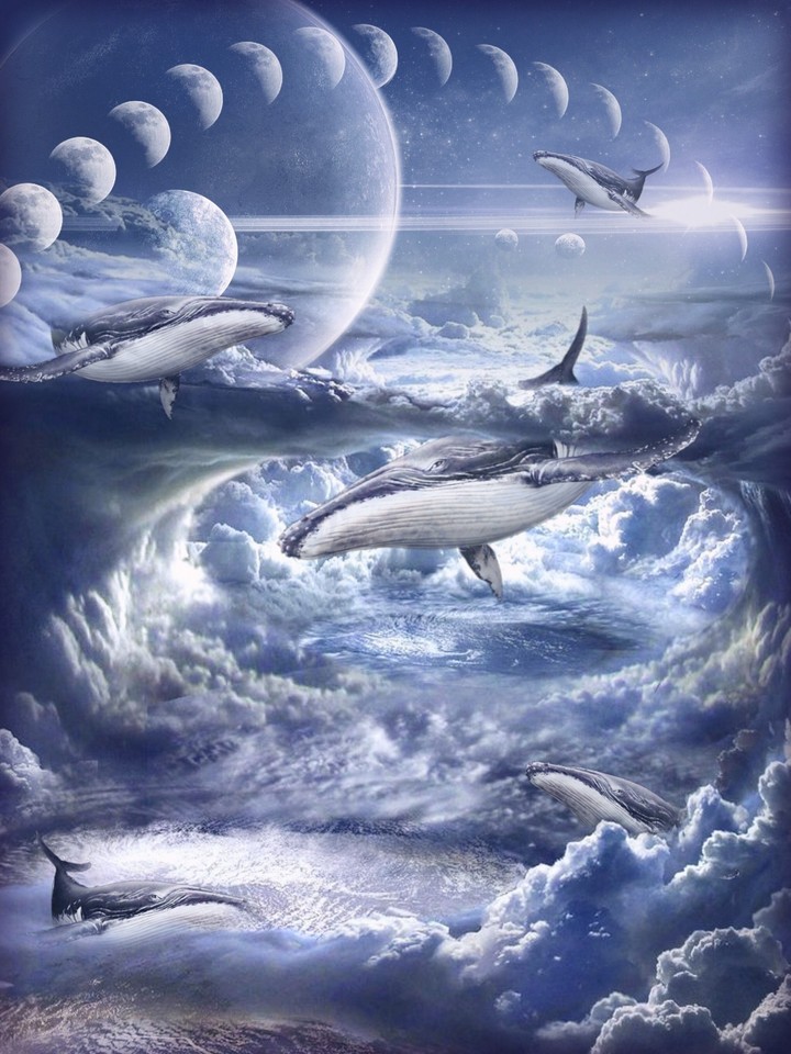 dream
